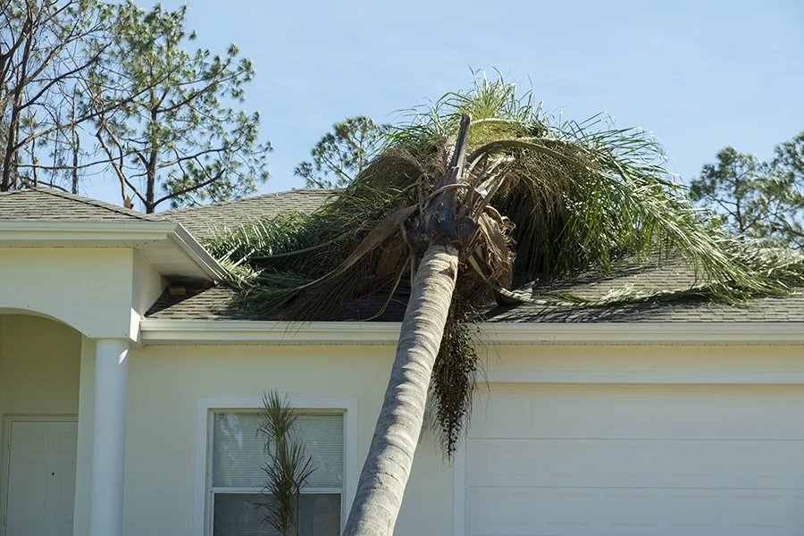 Storm Season Roof Preparation